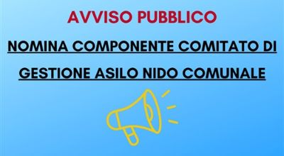 Avviso pubblico nido