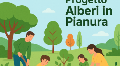 Immagine progetto alberti