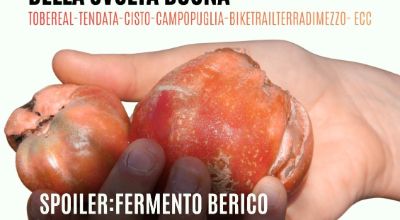 WhatsApp Image 2025-11-25 at 17.33.00