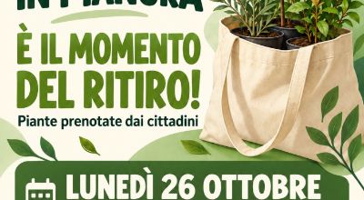 Ritiro piante alberi in pianura 2026
