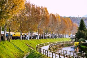 Foto panoramica fiera